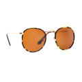 Slaughter & Fox East Village - 49  19  145 / Bamboo Green C2 / Acetate