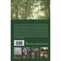 Indigenous Forests and Woodlands in South Africa -M Lawes,Harriet Eeley,C Shackleton, Bev Geach