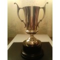 BEAUTIFUL UNUSED SILVER PLATED TROPHY, WITH GOOD VALUE, SEE BELOW.