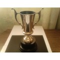 BEAUTIFUL UNUSED SILVER PLATED TROPHY, WITH GOOD VALUE, SEE BELOW.