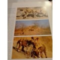 `THE KRUGER NATIONAL PARK, WONDERS OF AN AFRICAN EDEN` VERY GOOD ISSUE - PLEASE READ BELOW FOR INFO
