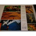 `AFRICAN WILDLIFE- THEMES`- BY RICHARD DU TOIT - PLEASE READ BELOW FOR INFO