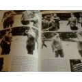 VERY SORT AFTER BOOK `WORLD WAR II BY RONALD HEIFERMAN - PAGES 256 & A3 SIZE - INFO BELOW.