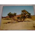 Dr. Joost Heystek SA Artist - Oil on canvas 1983 - Market price R3000 -Not framed - Read below.