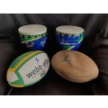 SA Rugby Memorabilia