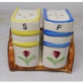 Vintage Salt and Pepper Shakers flower on spine of books and book case