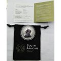 9 x 2017 Silver 1 Ounce Krugerrand 50th Anniversary  Premium Uncirculated with COA and Pouch