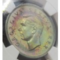 1949 Union of South Africa 2   Shillings NGC PF66-Gorgeous low mintage(800) Beauty