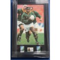 Springbok 1995 Rugby Frame With Original Chester Williams Signature