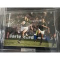 Springbok Rugby Frame Signed By Pieter Russouw