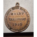 1913 Taalfeest commemorative medallion