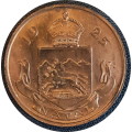 1925  Prince of Wales visit to Natal commemorative medallion