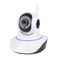 IP Wireless Security Camera with Night Vision