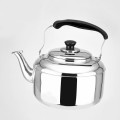Stainless Steel Whistling Tea Kettle (3L)