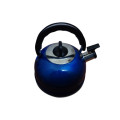 Stainless Steel Whistling Tea Kettle (2.5L) - Blue (Please Read)