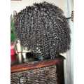 Head Band Curly Wig
