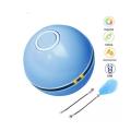 Cat Ball Interactive Toy ( Blue )