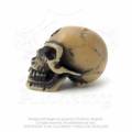 Alchemy Gothic V2 Lapillus Worry Skull