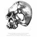 Alchemy Gothic AG-R174 Ruination Skull ring - UK Size: W