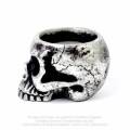 Alchemy Gothic V74 Skull Tea-Light Candle Holder (candle not included)