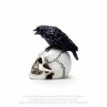 Alchemy Gothic VM7 Raven Skull: MINIATURE resin ornament