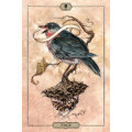 NEW - IN STOCK - Hush Tarot -- 78 card deck & 68 page guidebook
