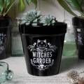 Alchemy Gothic GPP1 Plant Pot: Witches Garden