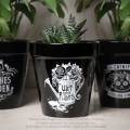 Alchemy Gothic GPP5 Plant Pot: Wet Your Plants