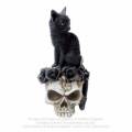 Alchemy Gothic V71 Grimalkin`s Ghost - resin cat skull ornament