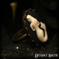 Deviant South Mermaid Cameo Bronze Adjustable Ring