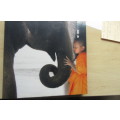 THAILAND ELEPHANT WITH BOY ON WOOD - APPR.200 X 200 X 30 MM - AS PER SCAN - BC