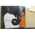 THAILAND ELEPHANT WITH BOY ON WOOD - APPR.200 X 200 X 30 MM - AS PER SCAN - BC