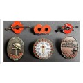 Remembrance day Poppy Pins set