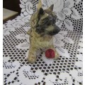Fine Beswick  Cain terrier Dog with Ball