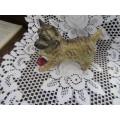 Fine Beswick  Cain terrier Dog with Ball