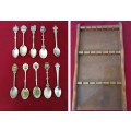 10 Collectable spoons  + 18 spoon display case - as per pictures