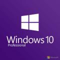 Windows 10 Professional - Genuine Lifetime Activation - For 32 & 64 Bit Operating Systems