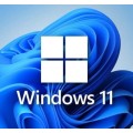 Windows 11 Pro Online Activation!
