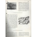 CHILDREN'S ILLUSTRATED ENCYCLOPAEDIA OF SOUTHERN AFRICA - ERIC ROSENTHAL