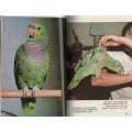 TAMING AND TRAINING AMAZON PARROTS - RISA TEITLER, PROFESSIONAL TRAINER (1979)