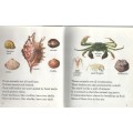 ANIMALS WITH SHELLS - MACDONALD FIRST LIBRARY (1 ST PUBLISHED 1973)