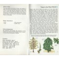TREES - MACDONALD JUNIOR REFERENCE LIBRARY (1969)