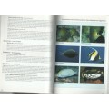 REEF FISHES & CORALS, EAST COAST OF SOUTHERN AFRICA - DENNIS KING (1 ST PUBLISHED 1996)