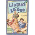 LLAMAS ON THE LOOSE - JERI MASSI (1998) TEEN