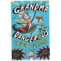 GRANDMA DANGER US AND THE DOG OF DESTINY - KITA MITCHELL (1 ST PUBLISHED 2018)