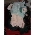 Doggy Jacket with Fluffy Lining - Mint-Dark Green Size Small