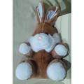 Plush Bunny - Floppy Ears