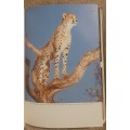 The Cheetahs of De Wildt.  Author: Ann Van Dyk