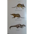 Mammals of Northern Rhodesia - W F Ansell