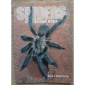 Spiders of Southern Africa - Author: Astri and John Leroy